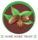 Logo Dame-Marie Trans